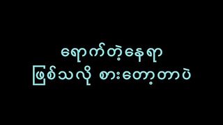 ရောက်တဲ့နေရာ ရသလိုစားတာ